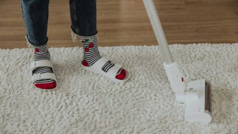 The Science Behind Professional Carpet Cleaning