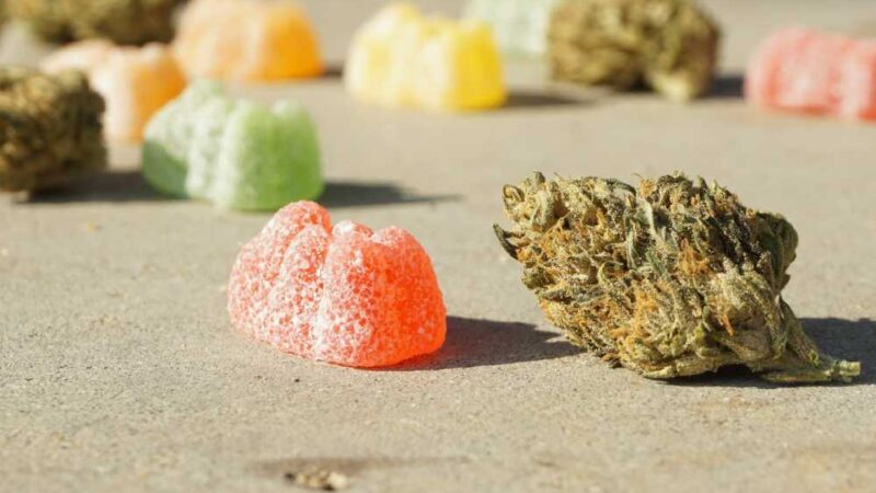 Edibles: Understanding Potency, Dosage, and Effects When Ordering Online