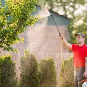 Effective Eco-Friendly Pest Control Solutions for Your Backyard