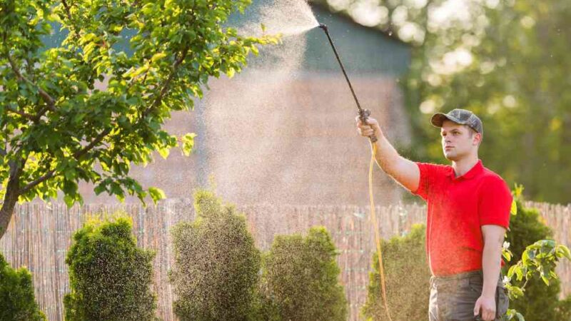 Effective Eco-Friendly Pest Control Solutions for Your Backyard