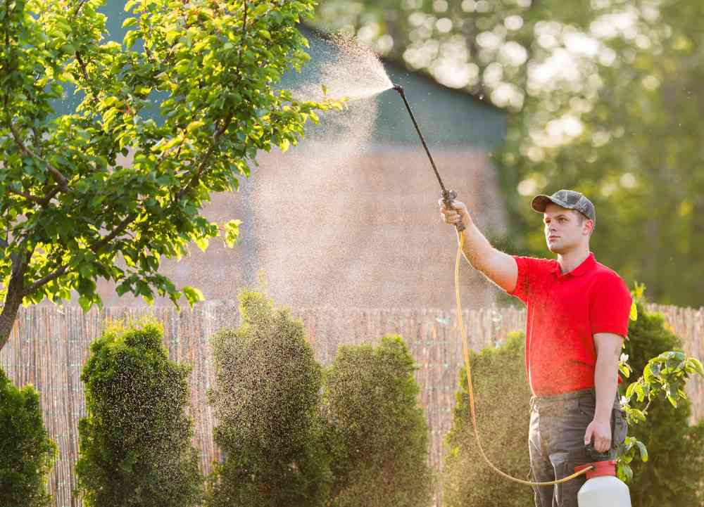 Effective Eco-Friendly Pest Control Solutions for Your Backyard