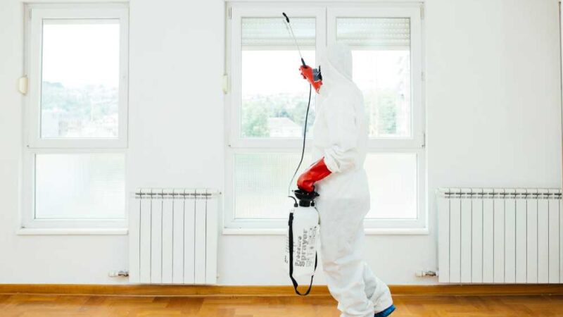 The Ultimate Guide to Home Pest Prevention: Simple Tips for a Pest-Free Home