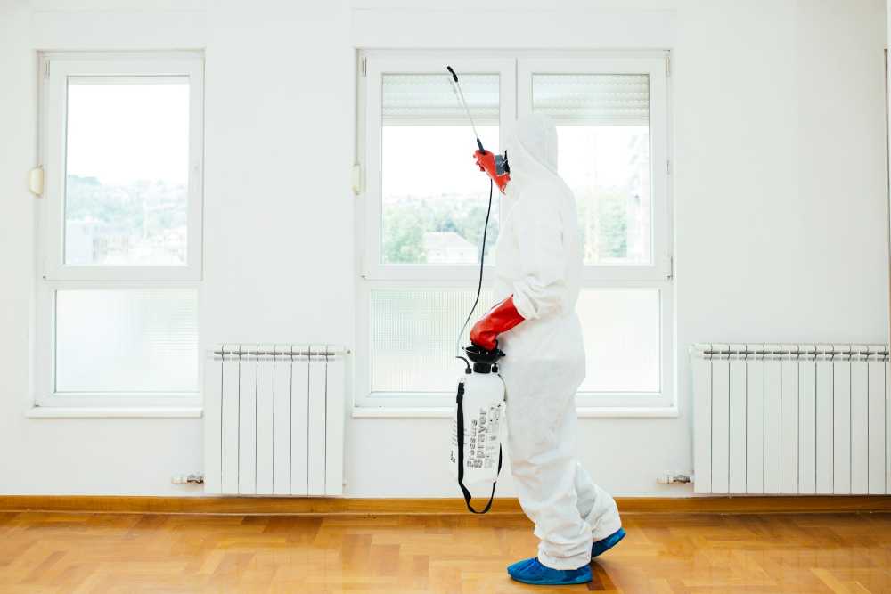 The Ultimate Guide to Home Pest Prevention: Simple Tips for a Pest-Free Home