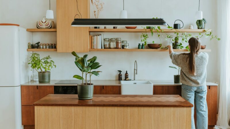 Smart Ways to Save on Your Next Kitchen Renovation