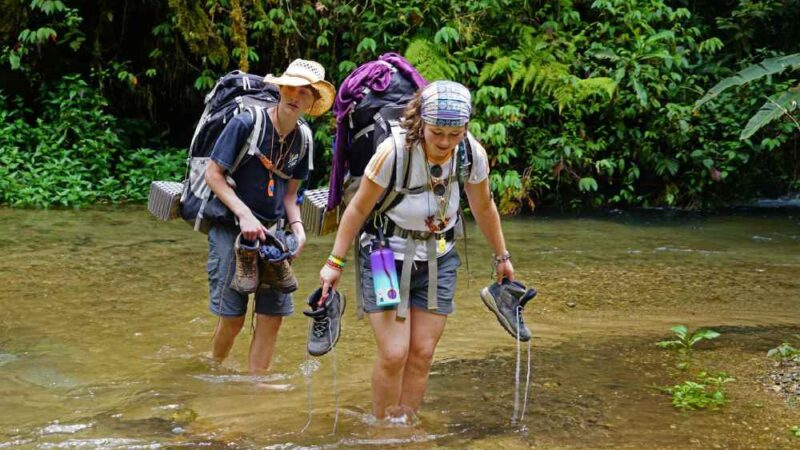 Essential Tips for Your Costa Rica Adventure