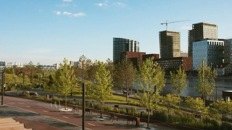 Creating Healthy Urban Landscapes Through Effective Tree Management
