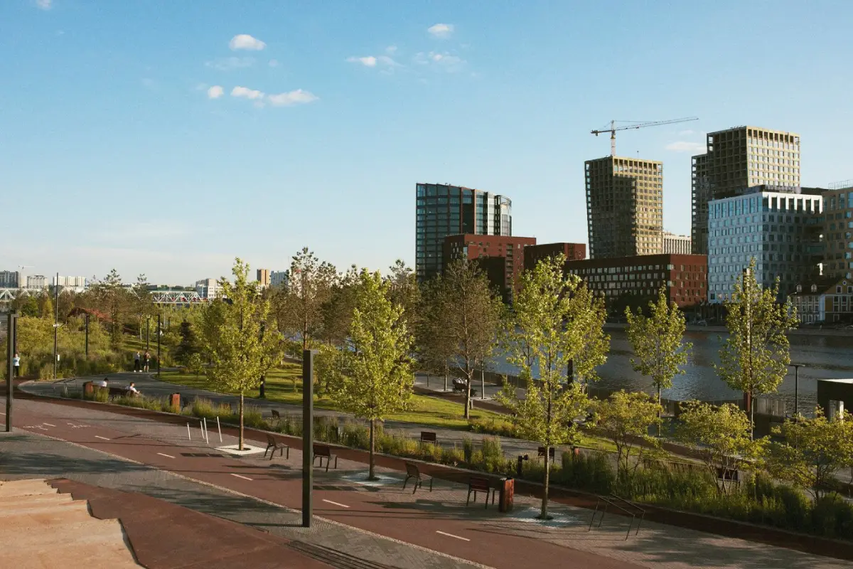 Creating Healthy Urban Landscapes Through Effective Tree Management