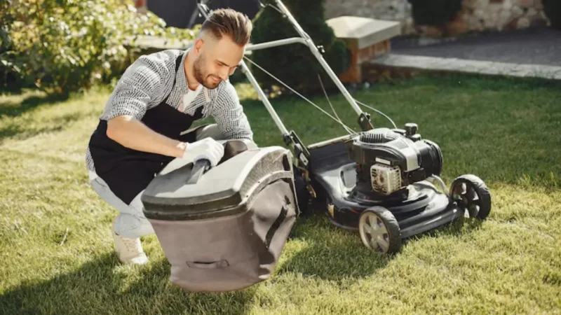 The Importance of Regular Lawn Maintenance for a Healthy Yard